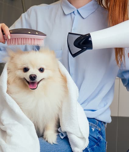 Haircut and Styling