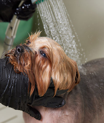 Bathing